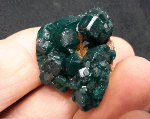 30mm dioptase crystals - dioptase,